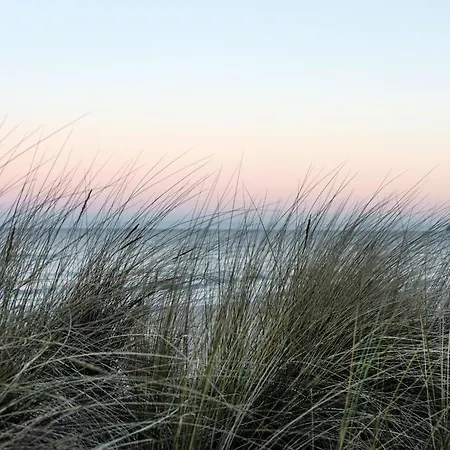 Duenenwelle - 3 Zi, Kue, 2 Baeder, Balkon Binz